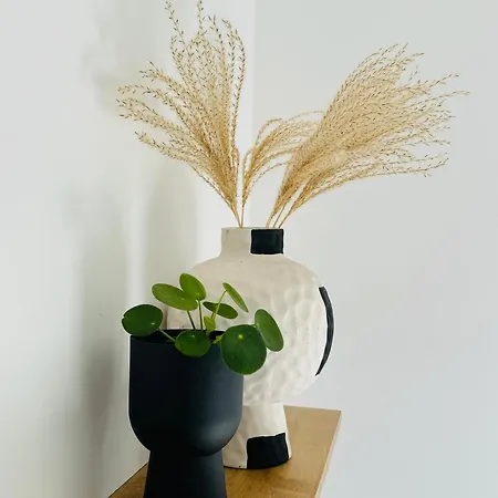 Familie - Zonneweelde Noordwijk