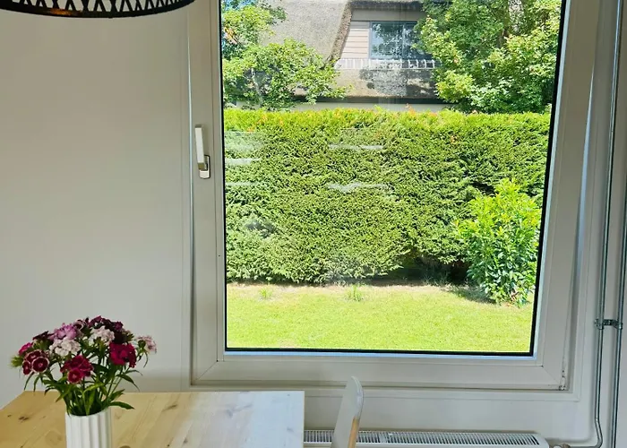 Familie - Zonneweelde Noordwijk