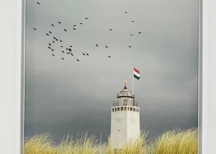 Familie - Zonneweelde Noordwijk