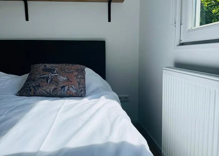 Familie - Zonneweelde * Noordwijk