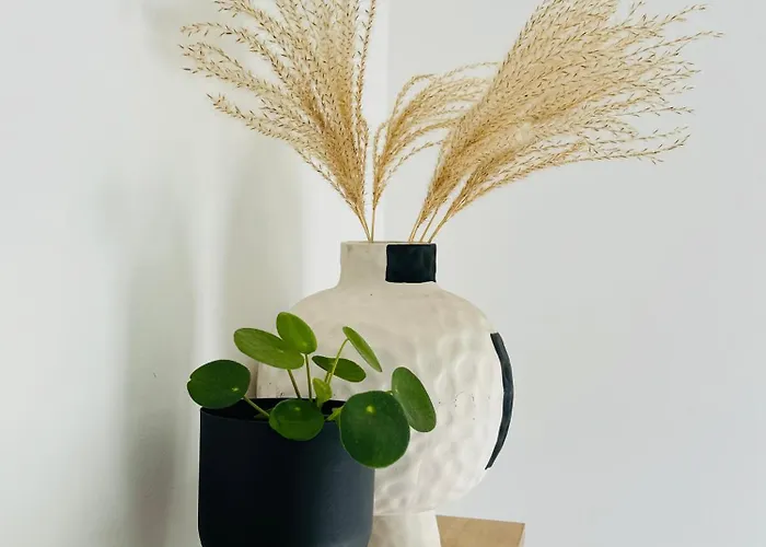 Familie - Zonneweelde Noordwijk